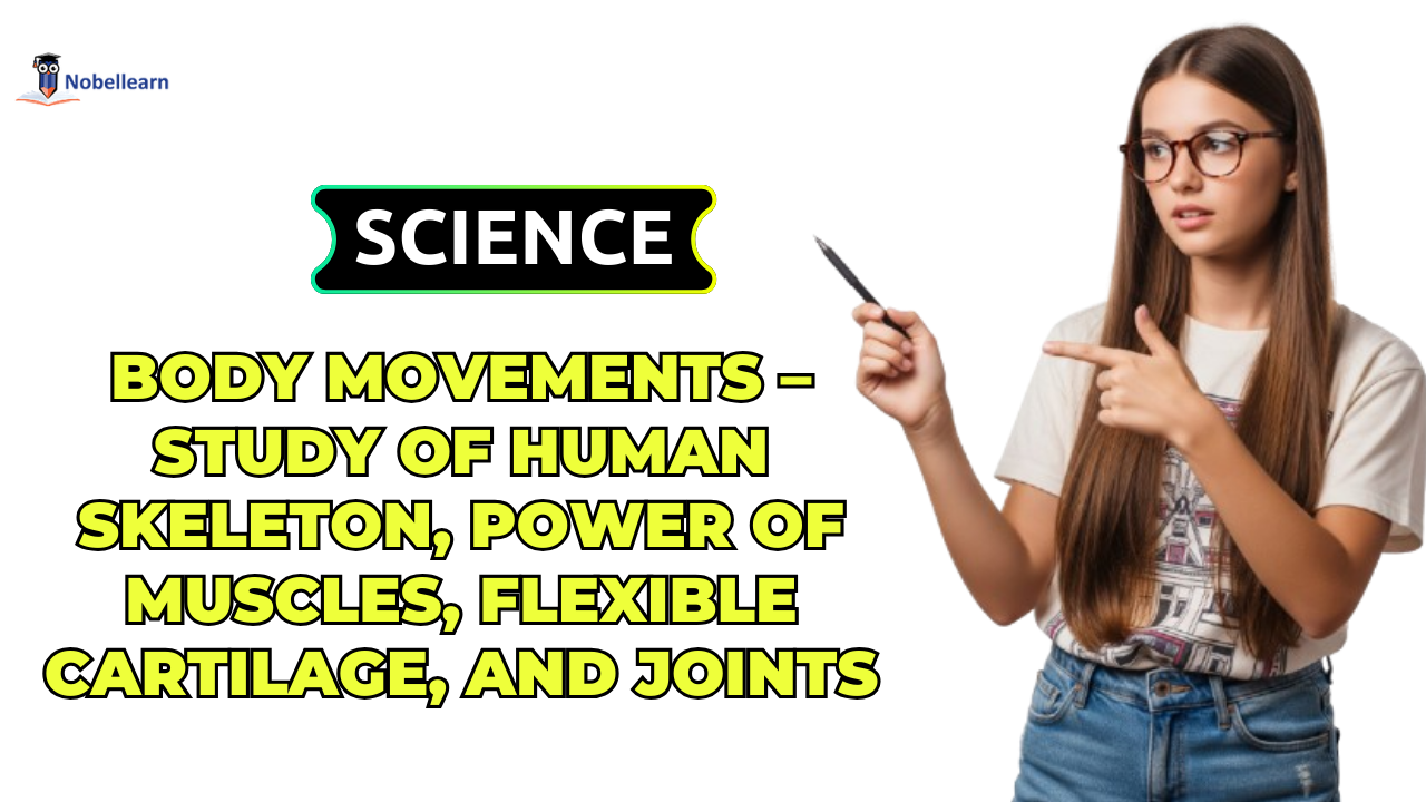 Body Movements – Study of Human Skeleton, Power of Muscles, Flexible Cartilage, and Joints