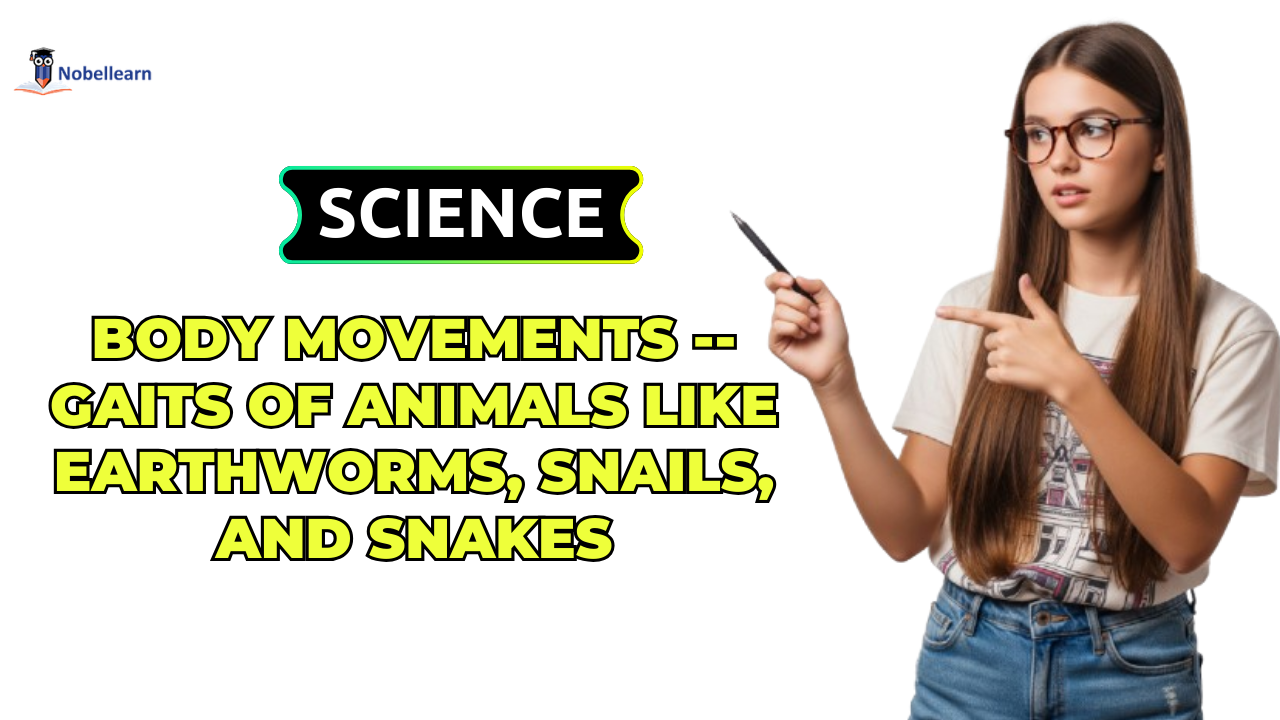 Body Movements -- Gaits of Animals like Earthworms, Snails, and Snakes
