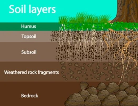 About Soil