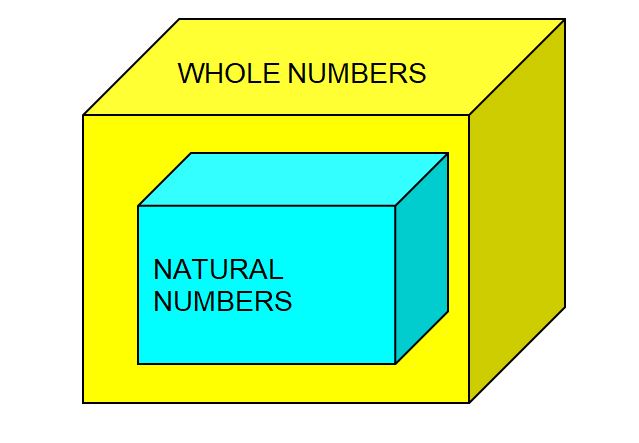 Whole Numbers 